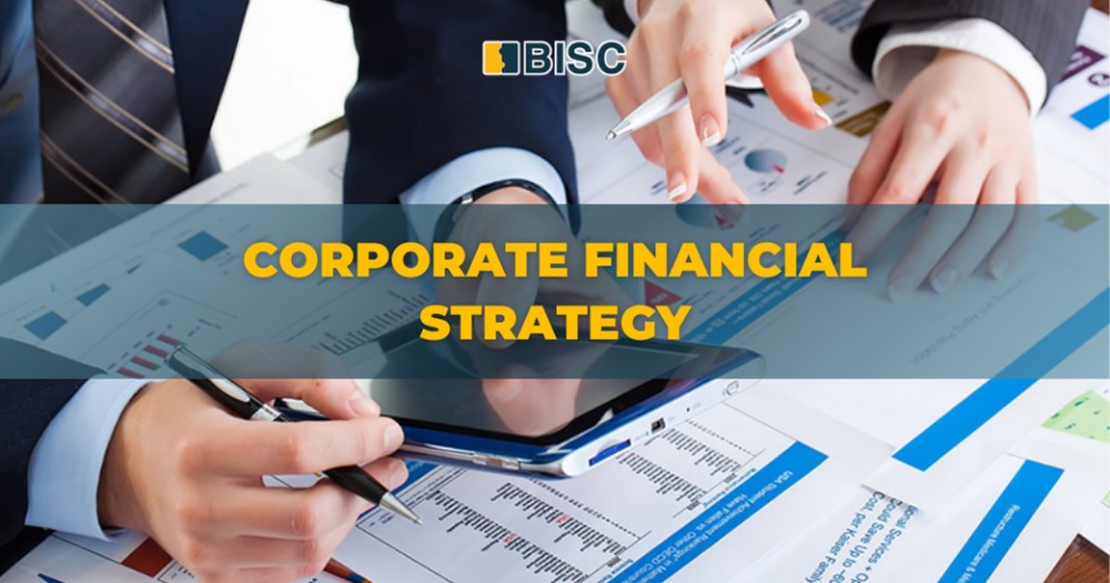 Corporate Financial Strategy